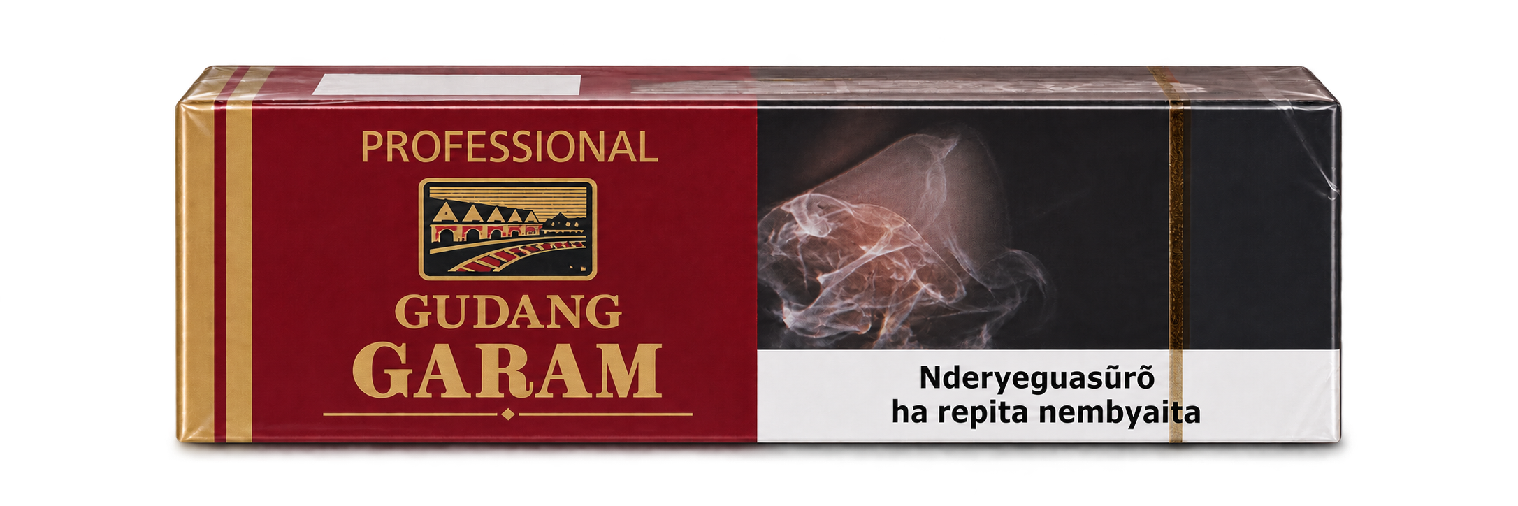 Caixa Gudang Garam Professional